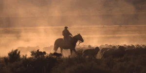 Man Riding Horse | Argentina Holidays | The Ultimate Travel Company
