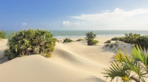 Sand Beach in Lamu | Kenya Holidays | Kenya Safaris | The Ultimate Travel Company