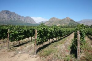 Franschhoek | Luxury South Africa Holidays | The Ultimate Travel Company