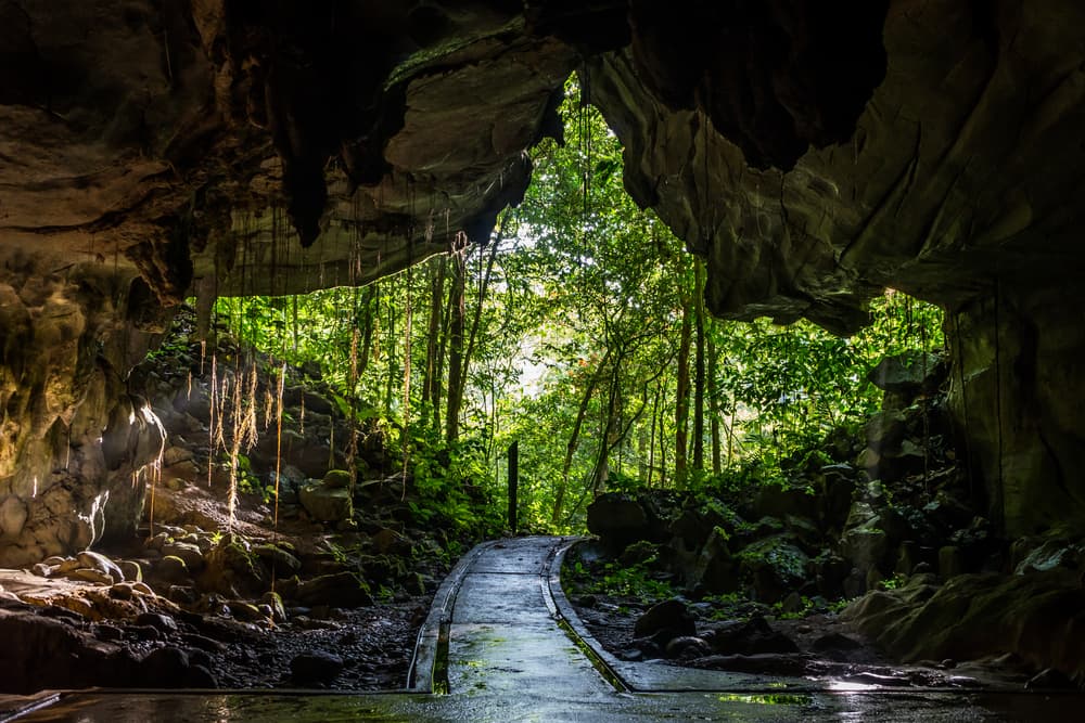 Mulu Caves | Borneo Holidays | The Ultimate Travel Company