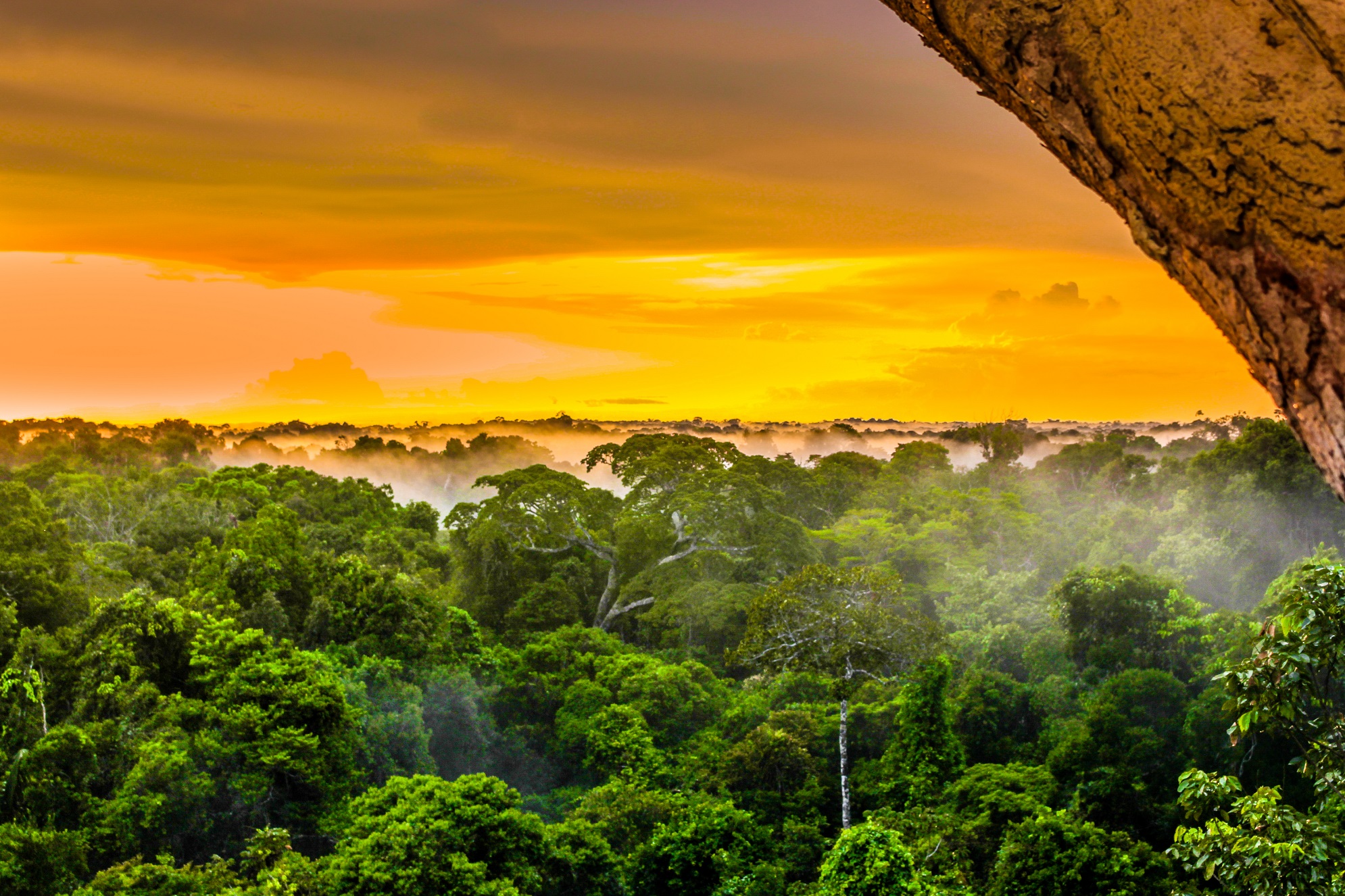 Amazon | Brazil | The Ultimate Travel Company
