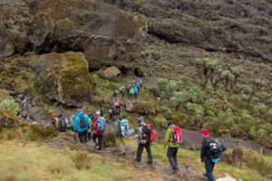 Mount Kilimanjaro Trek | Tanzania | The Ultimate Travel Company