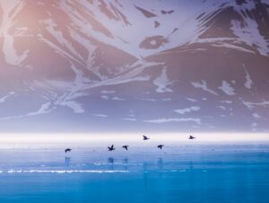 Longyearbyen | Luxury Arctic Cruises | The Ultimate Travel Company