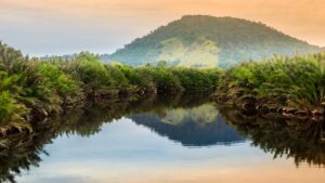 View Along the River Surrounded by the Jungle | Borneo Holidays | The Ultimate Travel Company