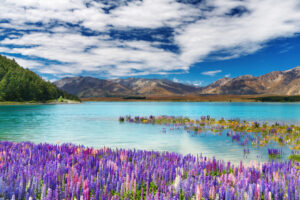 Lake Tekapo | New Zealand Holidays | The Ultimate Travel Company