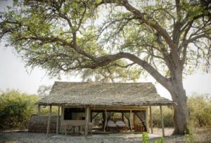 Single Safari Tent at Kigelia Safari Camp, Ruaha National Park | Luxury Tanzania Safaris & Holidays | The Ultimate Travel Company