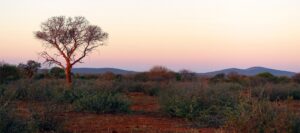 Sunset | Luxury South Africa Holidays | The Ultimate Travel Company