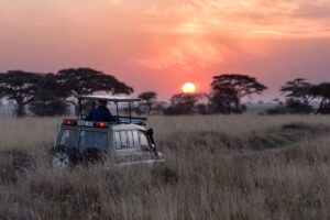Nomads Northern Tanzania | Ultimate Travel Company