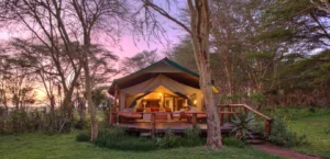 Sirikoi, Lewa Wildlife Conservancy | An Exclusive Safari Escape in Kenya | Ultimate Travel Company