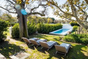 Steenberg Farm | Cape Town | Ultimate Travel Company