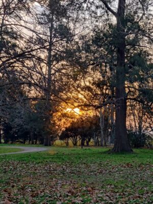 Estancia La Bandada, Pampas | Argentina | Ultimate Travel Co