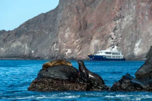 Origin, Theory & Evolve Cruises Galapagos Islands Ecuador | Galapagos Islands | The Ultimate Travel Company