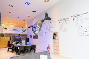 El Pedral, Punta Ninfas | Argentina | Ultimate Travel Company