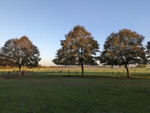 Estancia La Bandada, Pampas | Argentina | Ultimate Travel Co