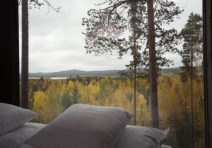 Treehotel, Harads | Sweden | overview of the tree hotel | The Ultimate Travel Company