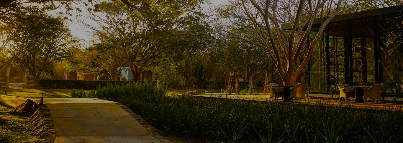 Chable Yucatan | Luxury Mexico Holidays | The Ultimate Travel Company
