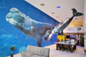 El Pedral, Punta Ninfas | Argentina | Ultimate Travel Company