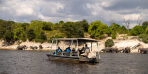 Zambezi Queen, Botswana | Ultimate Travel Company