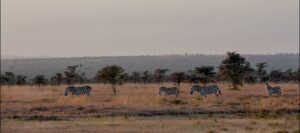 El Karama, Laikipia | Kenya | Ultimate Travel Company