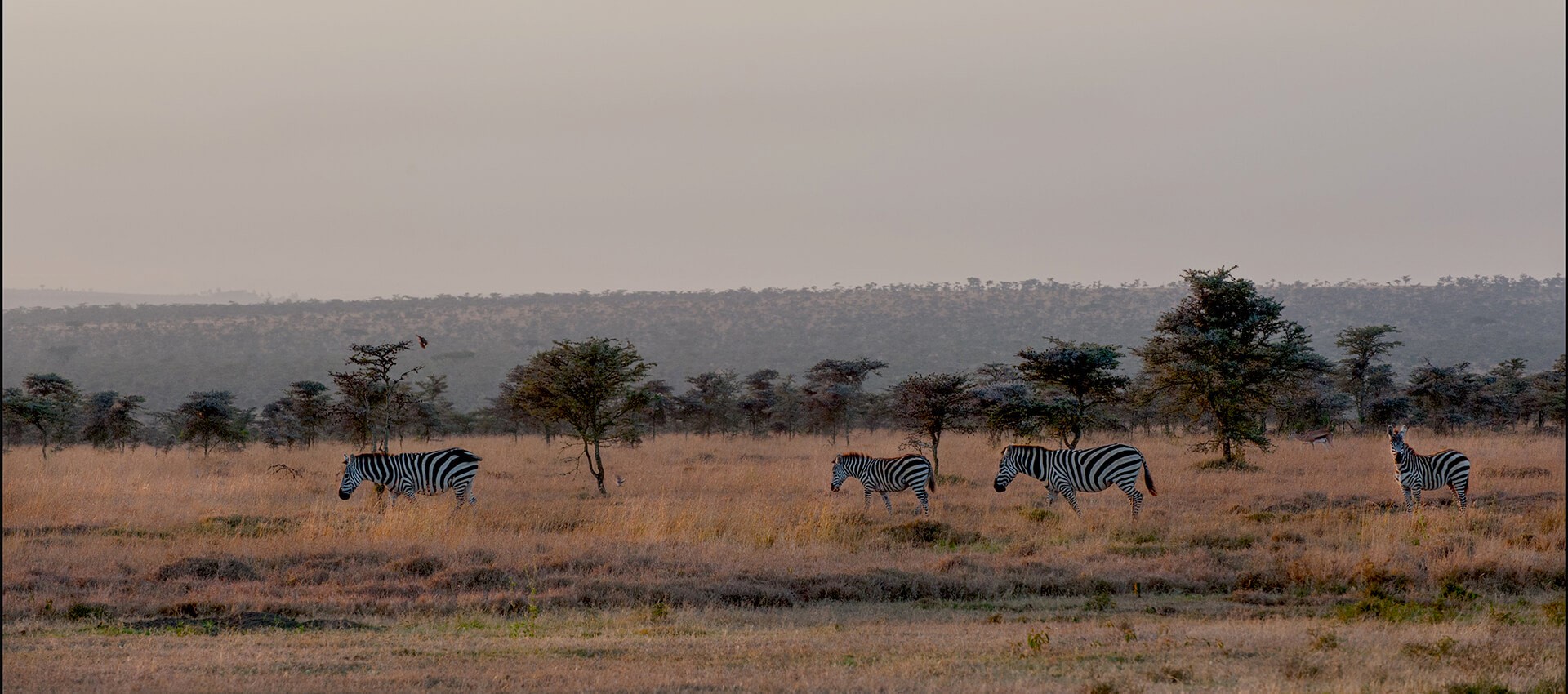 El Karama, Laikipia | Kenya | Ultimate Travel Company