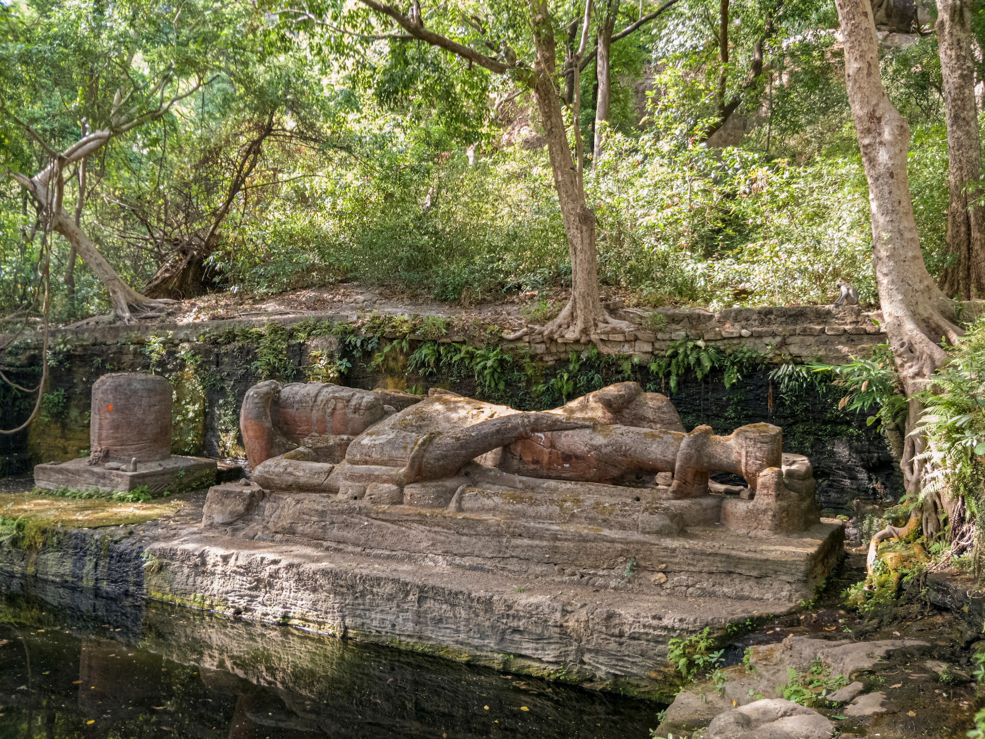 Shesh Shaiya | Bandhavgarh National Park, India | Ultimate Travel Company