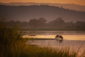 Kaziranga National Park | India | Ultimate Travel Company