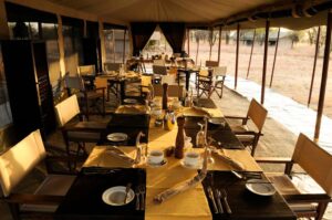 Olakira Camp, Serengeti, Tanzania | Adventures Amidst Tanzania's Wildlife | Ultimate Travel Company