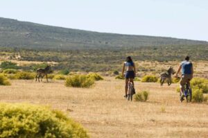 Bushmans Kloof Hotel, Cederberg | South Africa | cycling | The Ultimate Travel Company