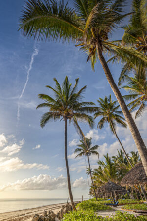 Breezes Beach Club & Spa, Bwejuu | Ultimate Travel Co