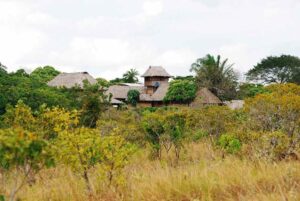 Caiman House Field Station, Rupununi GIMLETTE_05_CNV001431