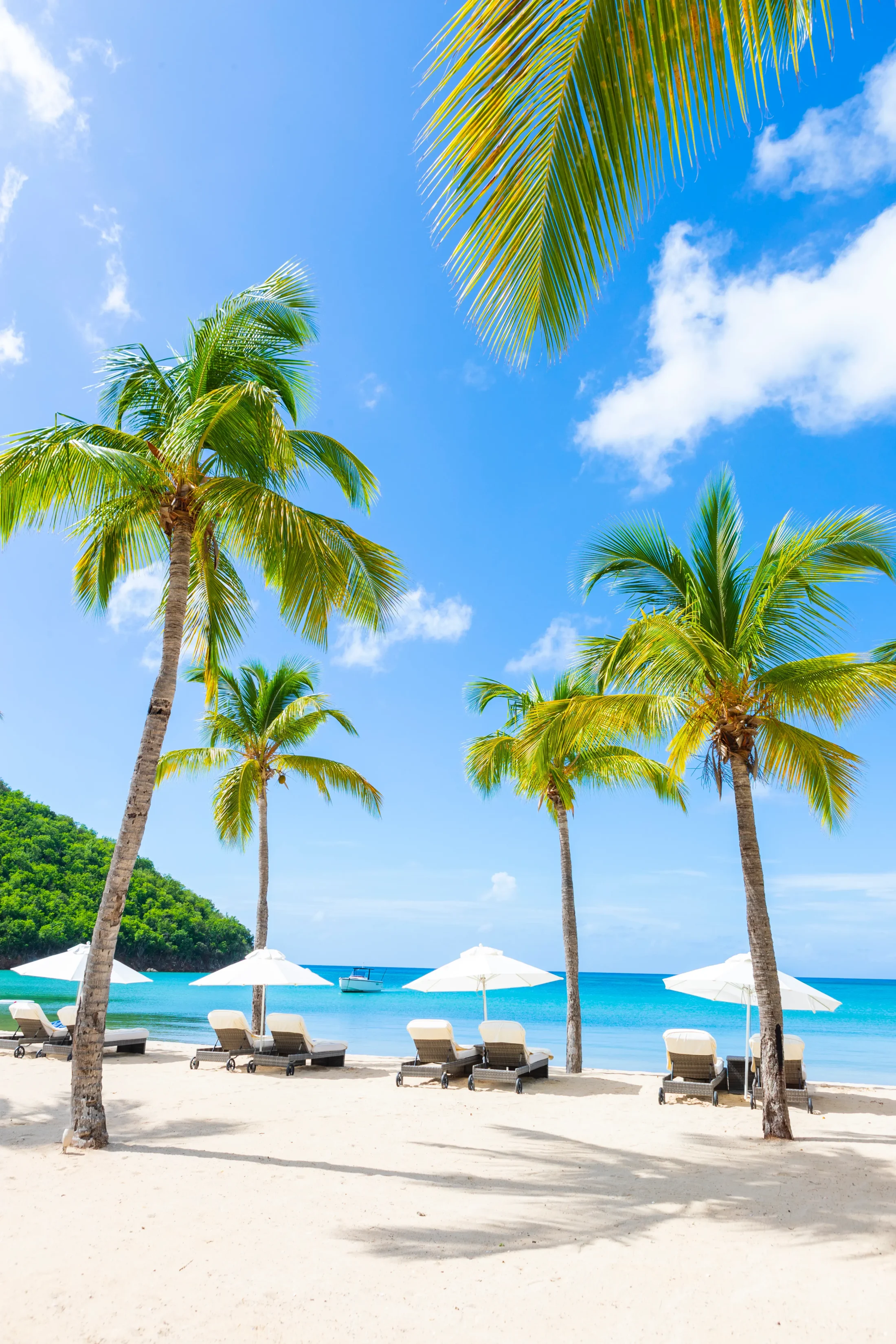 Beach at Carlisle Bay Resort | Tailor-Made Antigua Holidays 2025, 2026 & 2027 | The Ultimate Travel Company
