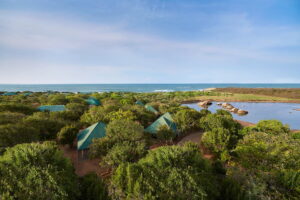 Cinnamon Wild, Yala National Park | Ultimate Travel Co