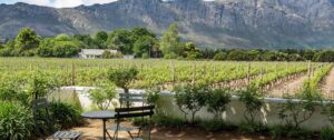 Auberge Clermont Hotel, Franschhoek | South Africa | courtyard | The Ultimate Travel Company
