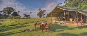 Elephant Pepper Camp, Masai Mara | Safari Symphony | Ultimate Travel Company