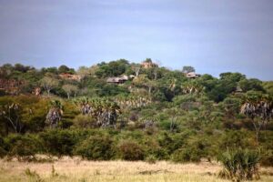 Elsa's Kopje Boutique Safari Lodge, Kenya | Ultimate Travel Company