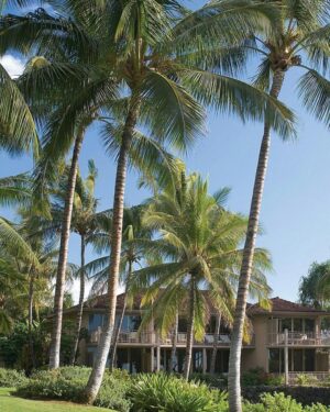 Four Seasons Hualalai, Big Island | The Ultimate Travel Company