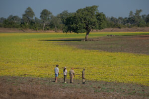 Nsefu, South Luangwa National Park | The Ultimate Travel Company