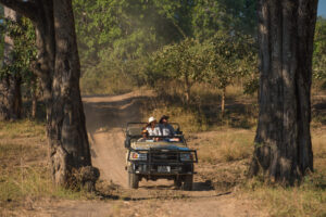 Nsefu, South Luangwa National Park | The Ultimate Travel Company