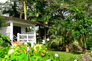 Montpelier Plantation And Beach | Unveiling Love's Oasis | Ultimate Travel Company