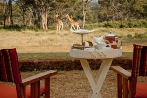 Giraffe-Manor-afternoon-tea-Copy