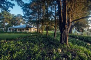 Goatfell Bungalow in the Hill Country | Sri Lanka Holidays | The Ultimate Travel Company