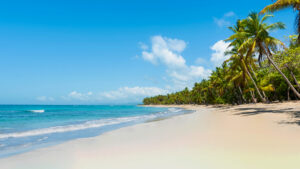 Beautiful Golden Sand Beach with Palm Trees Overlooking the Atlantic Ocean | Luxury Cuba Holidays | The Ultimate Travel Company