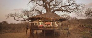 Tarangire Treetops, Tanzania | Safari Adventures | Ultimate Travel Company