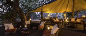 Tena Tena, South Luangwa National Park | The Ultimate Travel Company