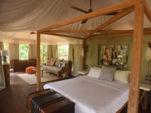 Karpaha Sands, Passikuda sleep-kolaya-suites-5