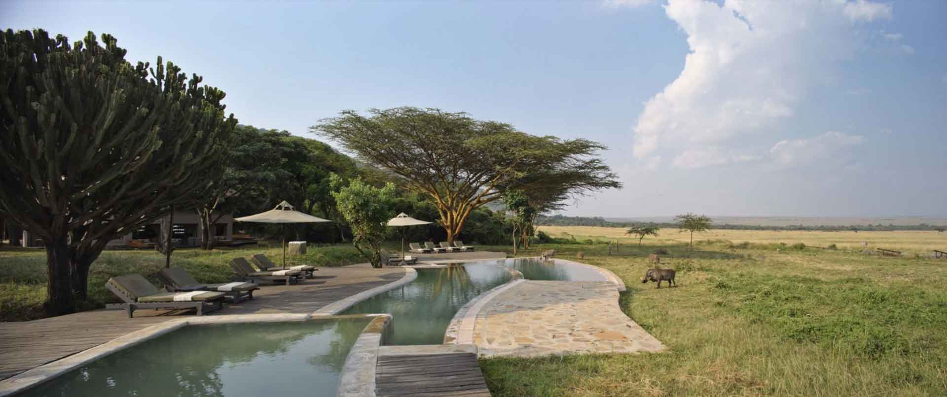 Kichwa Tembo Tented Camp | Masai Mara | Ultimate Travel Company