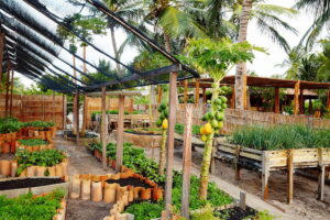 La Ferme De Georges, Atins | Ultimate Travel Co
