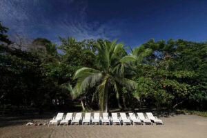 Le Caméléon, Puerto Viejo | Ultimate Travel Co