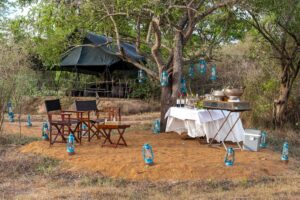 Leopard Trails, Wilpattu National Park Dusk-Bar-and-Dining