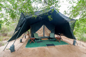 Leopard Trails, Wilpattu National Park Tent-2